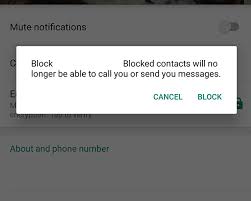 blocked you on WhatsApp